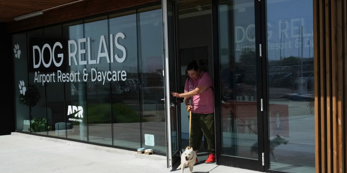 Un hôtel pour chiens