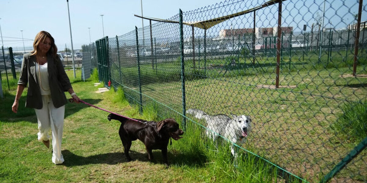 Un hôtel pour chiens 2