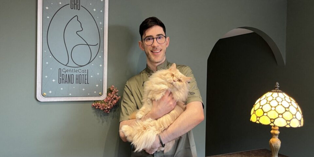 Lyon. Le premier hôtel de luxe pour chats ouvre en Presqu'île avec de véritables chambres