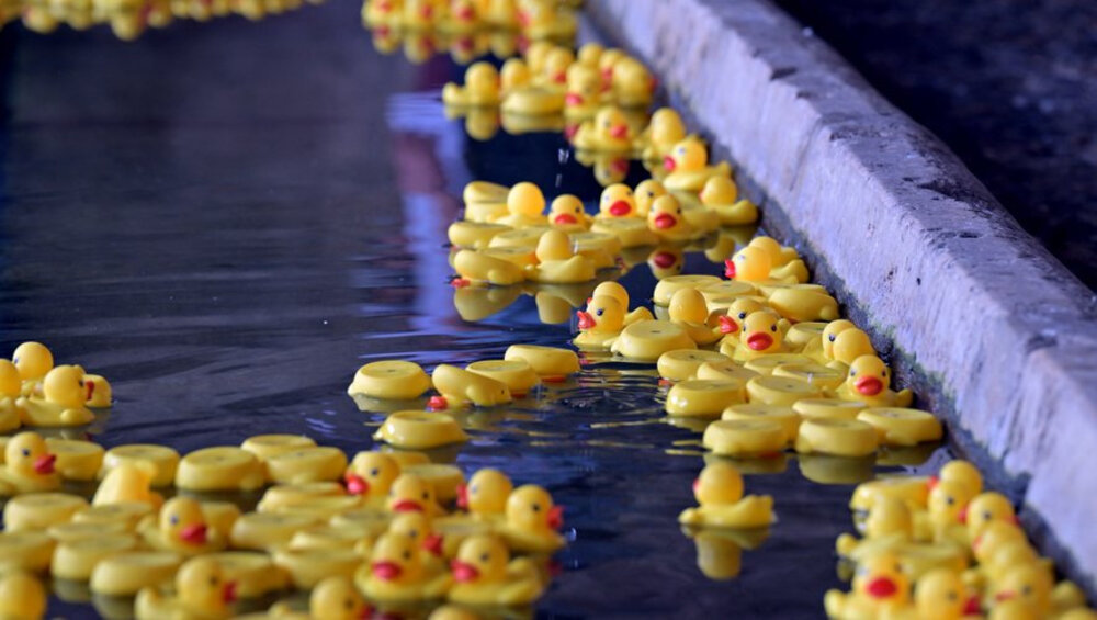 Les canards en plastique ont été disposés autour d’un pentagramme 