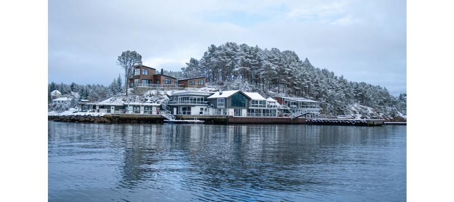 Inspirerte skrekkfilm: - Vil pirre