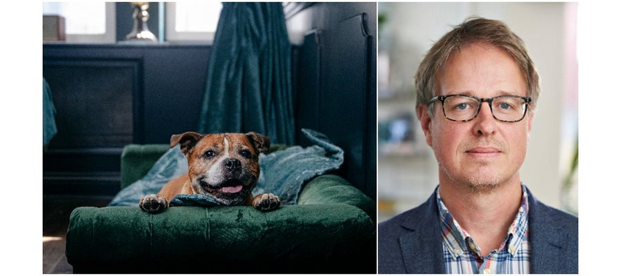 Hundägare allt större målgrupp för hotellen