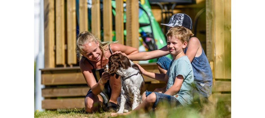 First Camp blir det bästa campingalternativet för alla hundägare