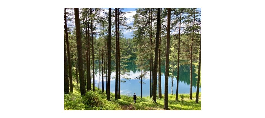 Internationella intresset för Coolcation i Sverige verkar inte svalna
