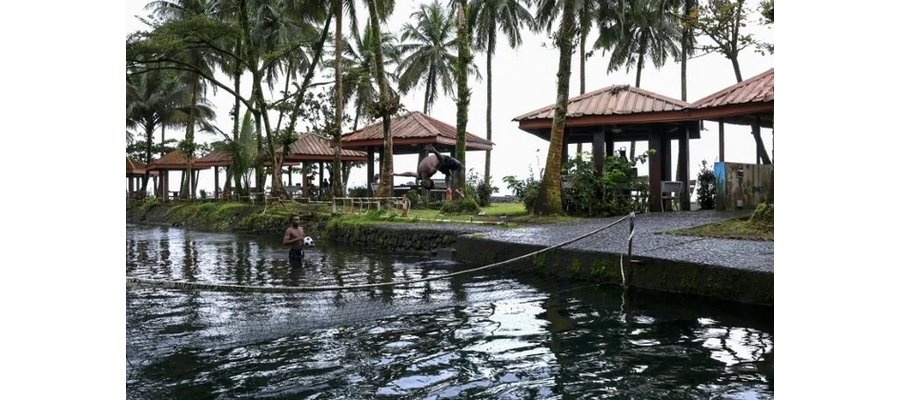 Dans le sud-ouest du Cameroun, le tourisme tente de survivre au conflit séparatiste