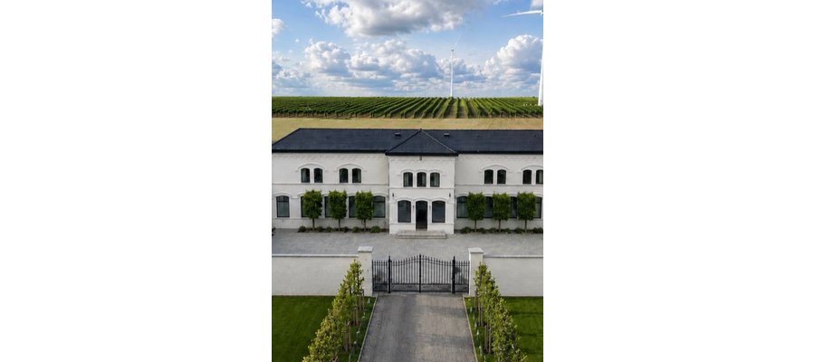 À 1h de Lille, le plus grand vignoble de Belgique