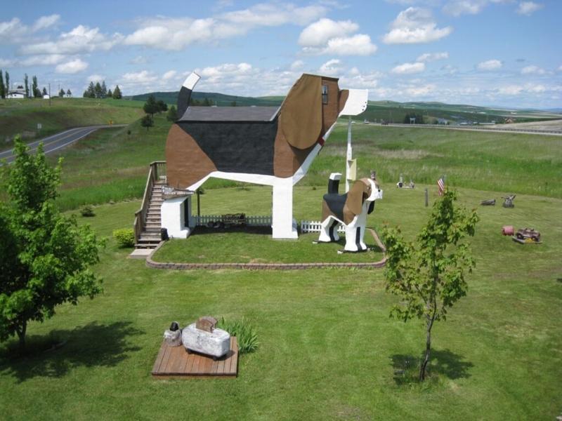 Dog Bark Park Inn i Idaho i USA er ikke som andre overnattingssteder. Hotellet er formet som en diger beagle-hund, og er perfekt for hundeelskere. Foto: Dog Bark Park Inn / Hostunusual.com
