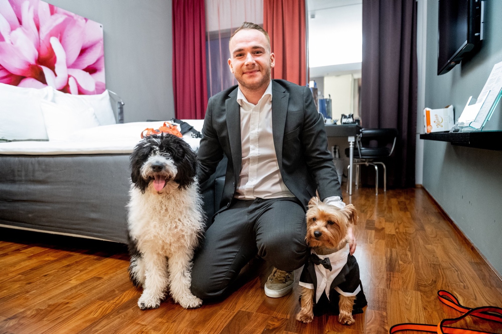 Sjekker inn på hotell for at hundene skal få slippe fyrverkeri