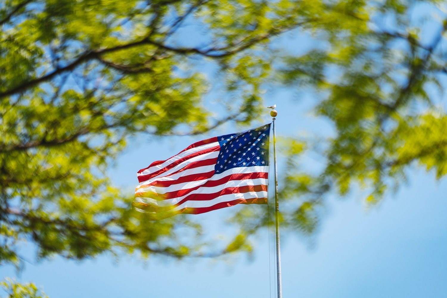 Derfor droppe vi reisene til USA