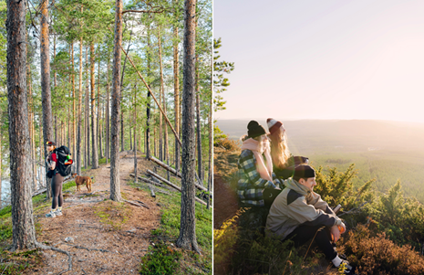 Visit Umeå – ny vandringsfestival Hajka arrangeras i oktober