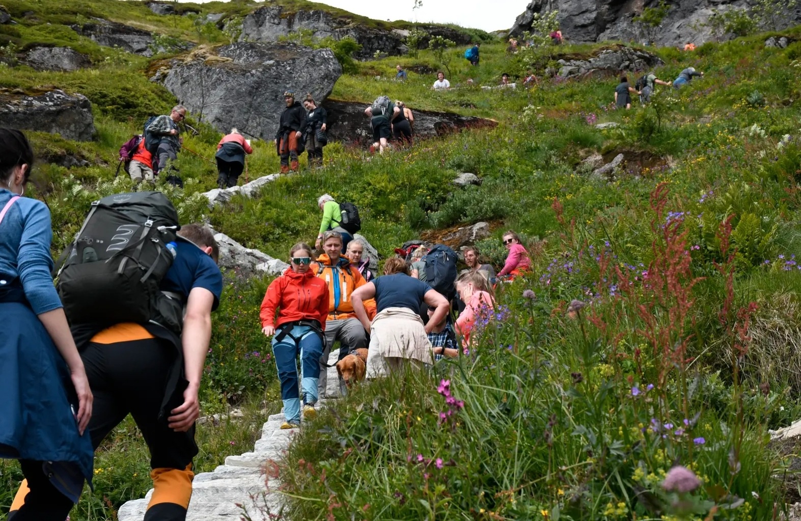 Lei av uregulert masseturisme i Lofoten: – Vi holder på å kveles
