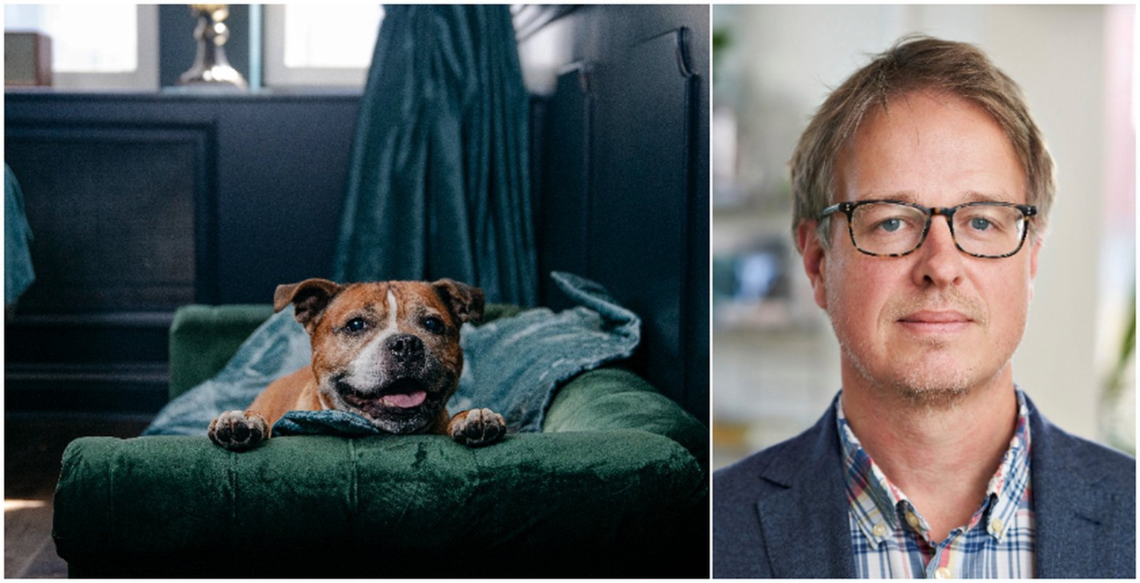 Hundägare allt större målgrupp för hotellen