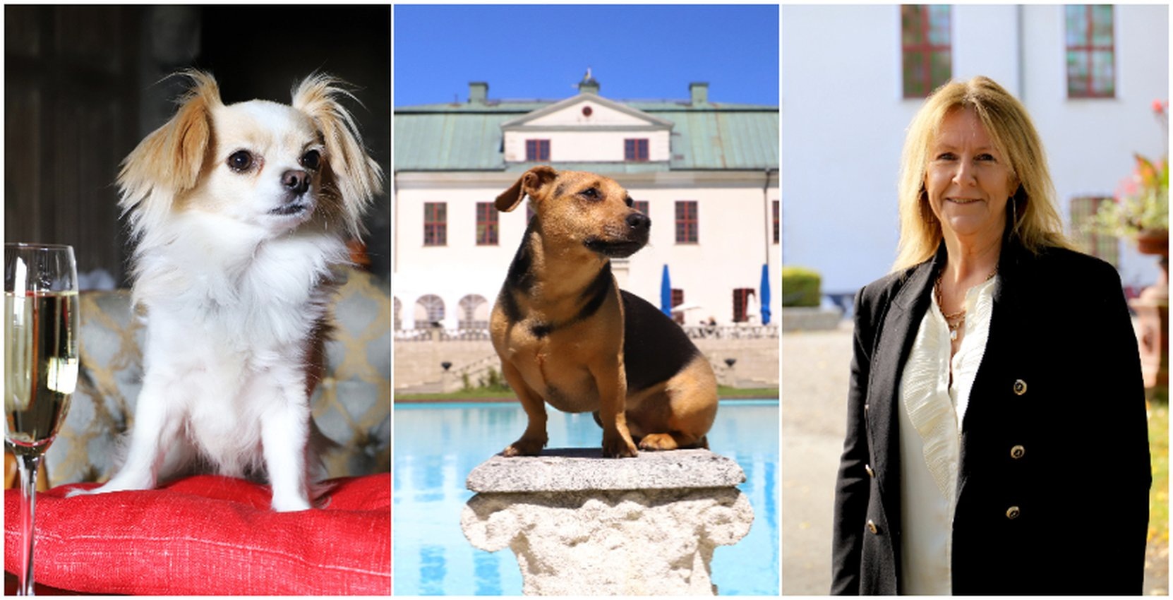 Hundlyx på Häringe Slott