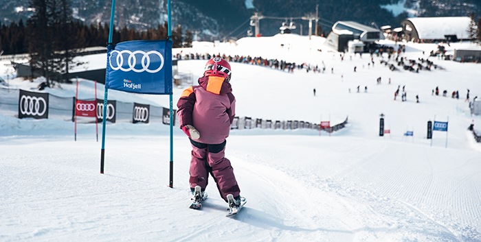 Rekordår for Alpinco