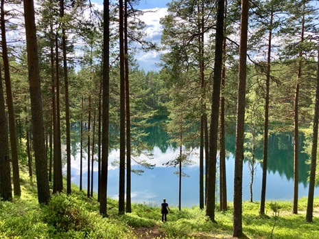Internationella intresset för Coolcation i Sverige verkar inte svalna