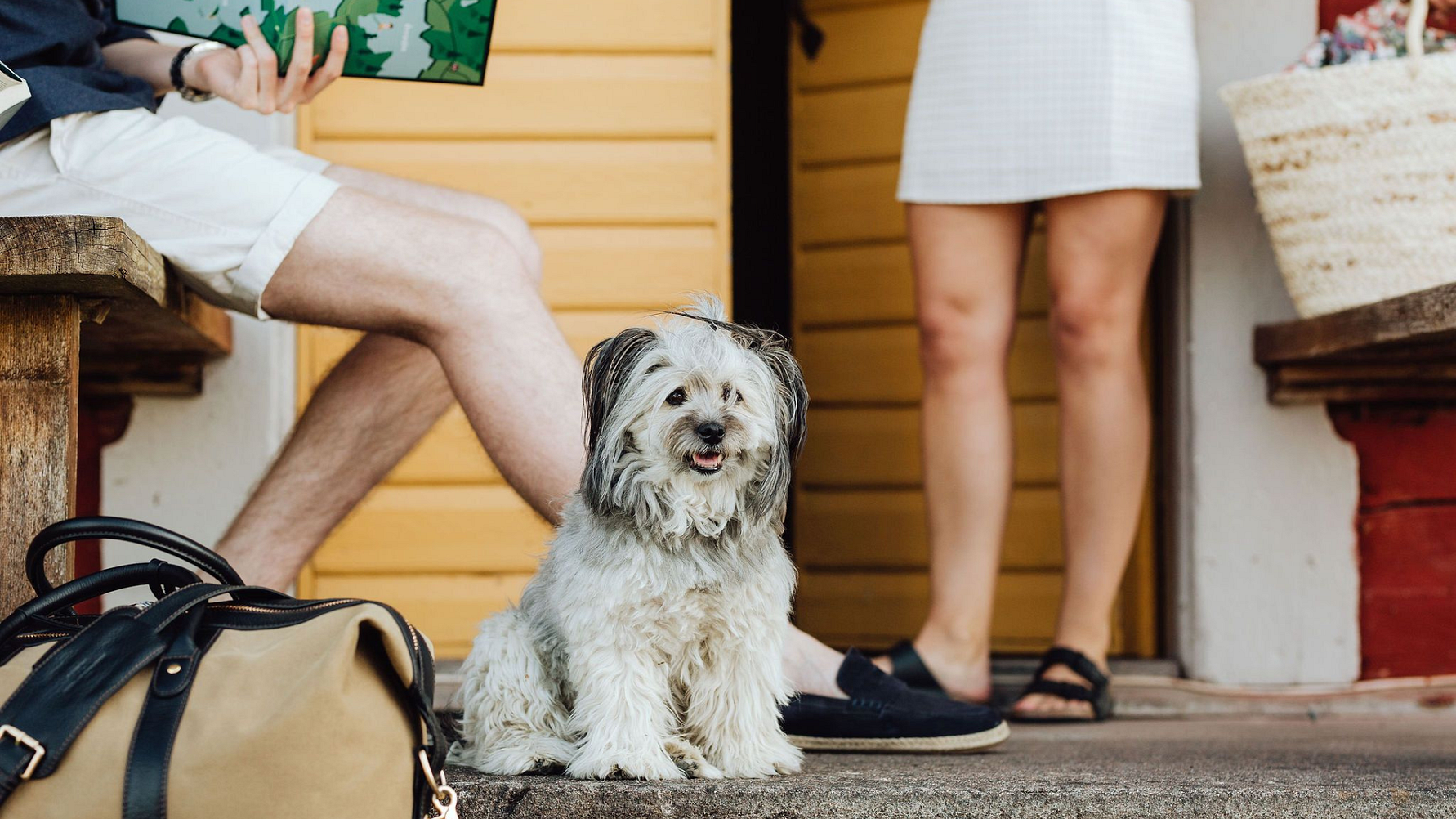 Allt fler svenskar reser med hund - Countryside Hotels möter trenden