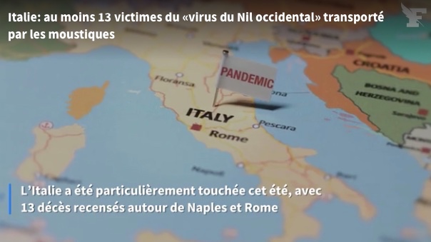 Qu’est-ce que le virus « West Nile » responsable de 13 morts en Italie et dont un cas a été identifié en France ?