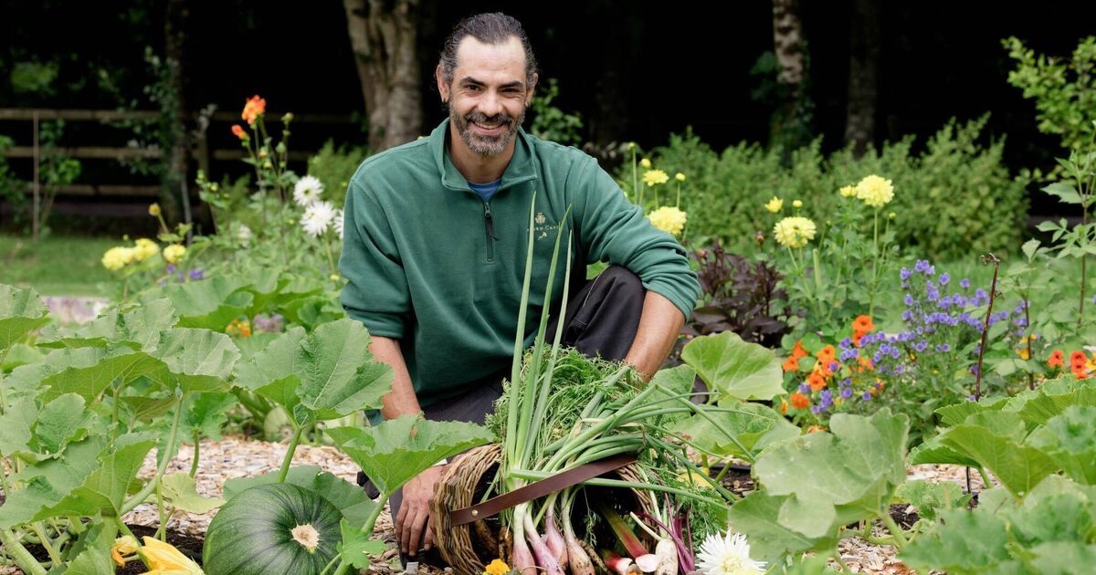 Des métiers insolites dans les hôtels irlandais : du concierge équin à l’artisan fleuriste