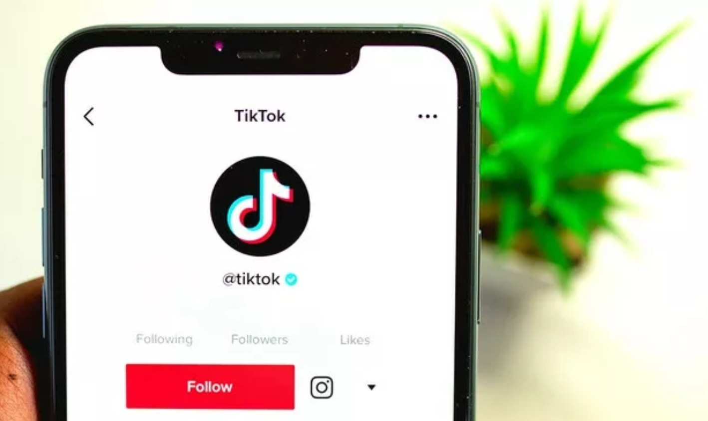 TikTok Go débarque pour réserver vos hôtels directement depuis l'application