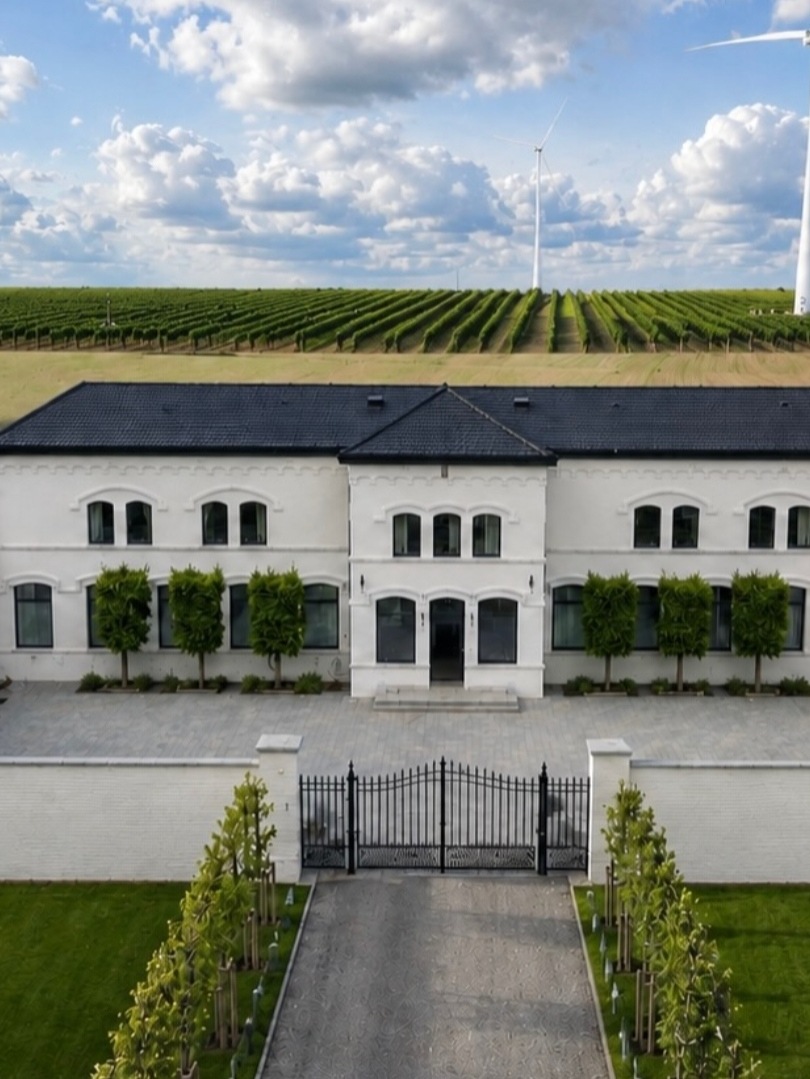 À 1h de Lille, le plus grand vignoble de Belgique